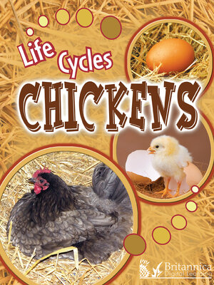 cover image of Chickens